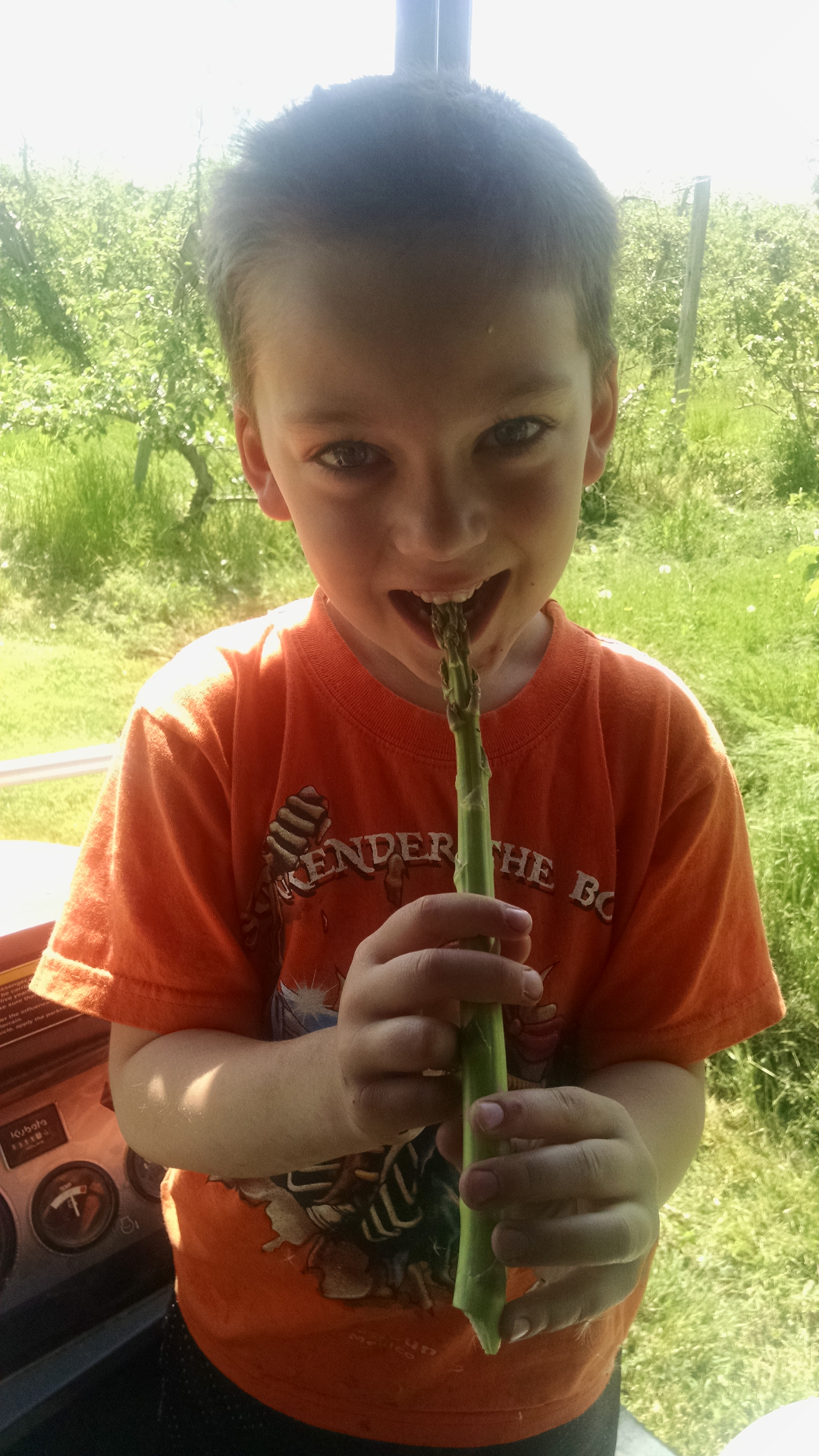 Carter picking asparagus