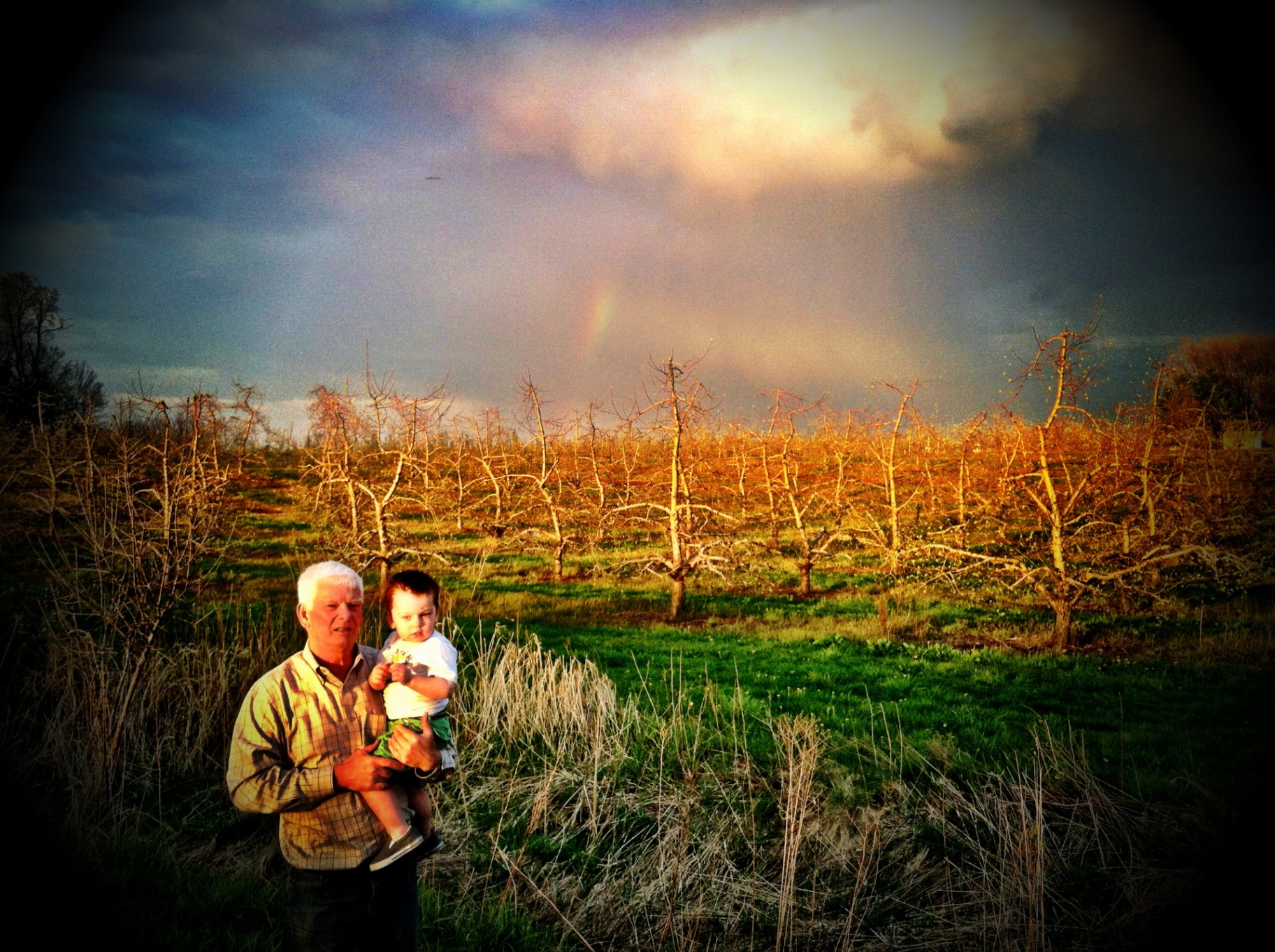 Grandpa holding a little one in the orchard under a rainbow