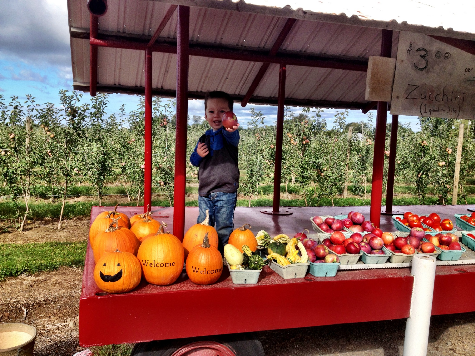 Little Sonneville on the fruit stand with pumpkins and apples