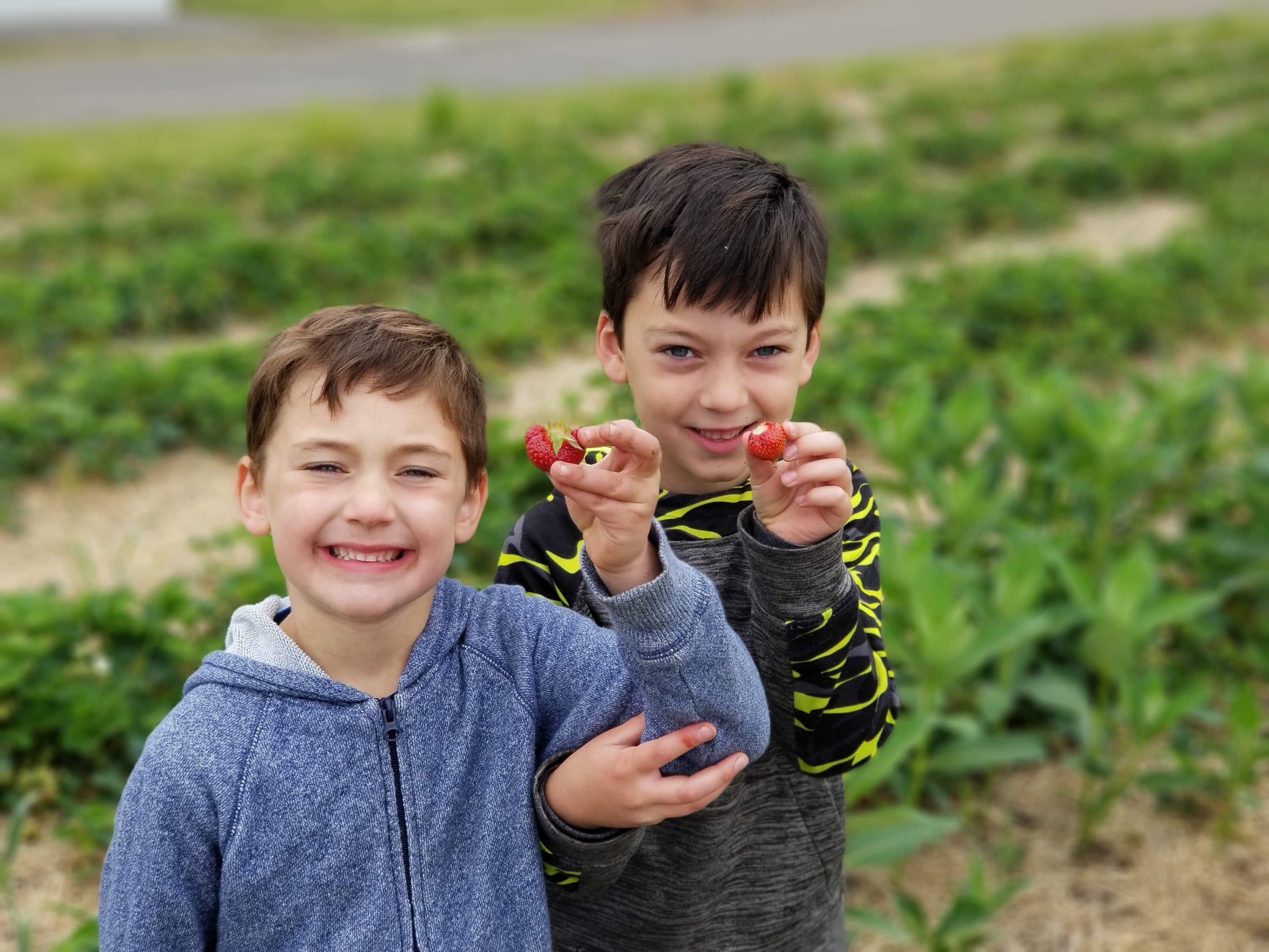 Carter and Casen showing off fresh strawberries
