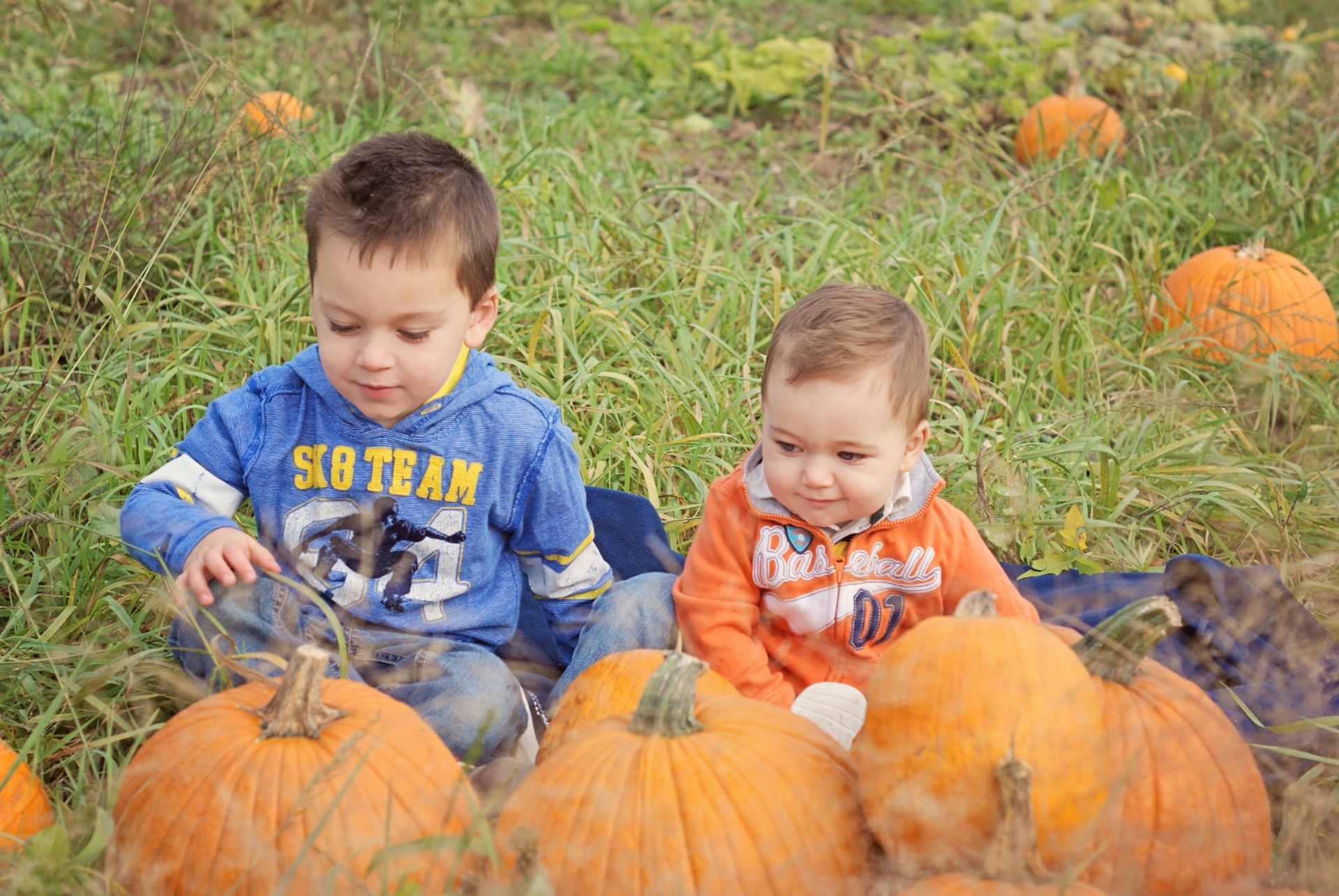 Carter and Casen in the pumpkin patch