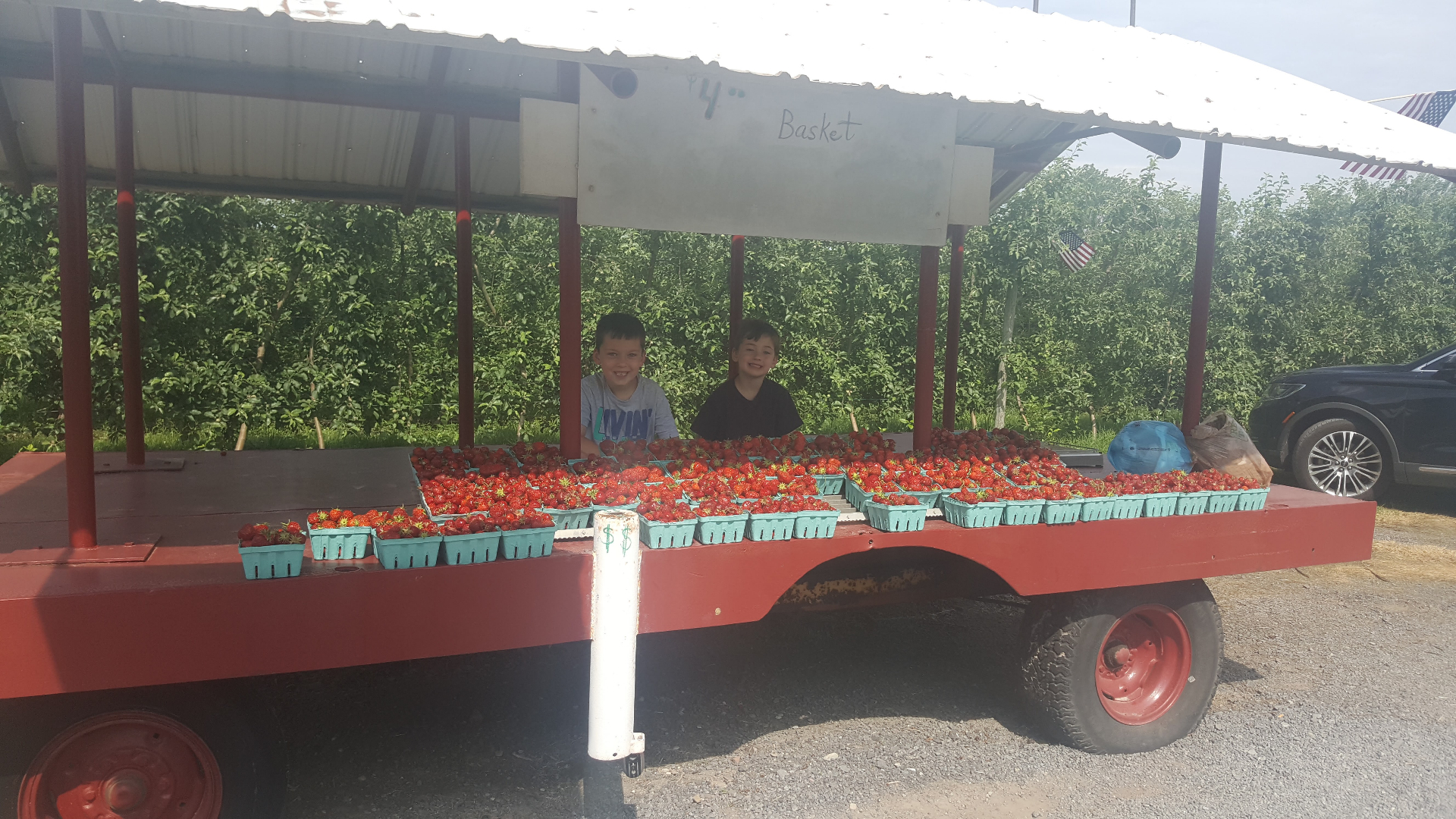 Carter and Casen minding the strawberry wagon